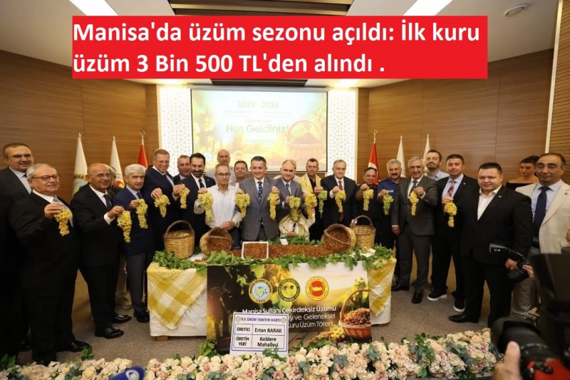 Manisa’da sezonun ilk kuru üzümü rekor fiyatla satıldı!