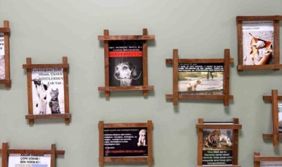 15 yıl önce hasta bir kediyle başladı, şimdi sevgisini öğrencilere aşılıyor,
