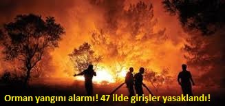 47 ilde ormanlara giriş yasaklandı: Yangın tedbirleri bölge bölge açıklandı