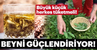 Adaçayı faydaları ile şaşırtıyor! Bakın mucizevi bitki adaçayı neye iyi gelir..