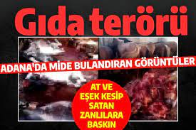 Adana'da mide bulandıran görüntüler! At ve eşek kesip satan zanlılara baskın
