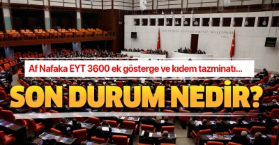 Af, nafaka, EYT, 3600 ek gösterge kıdem tazminatı yasası.