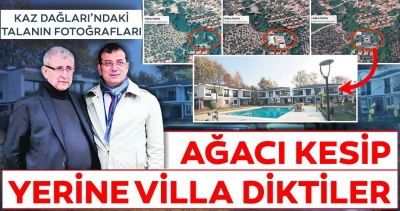 Ağaçları kesip yerlerine villa diktiler.