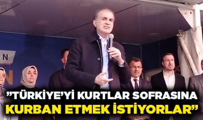 AK Parti Sözcüsü Çelik: 'Türkiye'yi kurtlar sofrasına kurban etmek istiyorlar'
