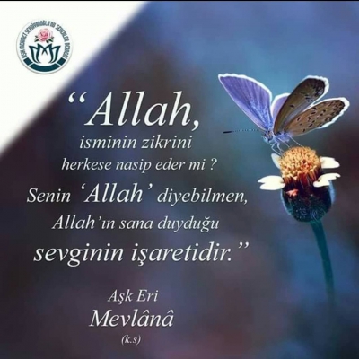 ALLAH (C.C.)