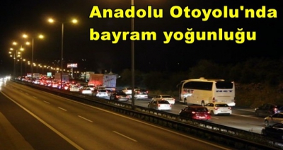 Anadolu Otoyolu'nda bayram yoğunluğu (Kilometrelerce kuyruk)