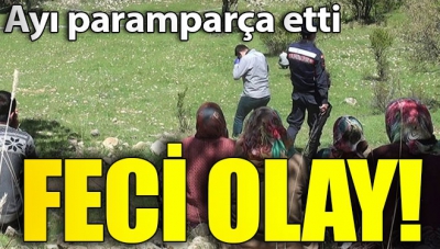 Ankara'da ayı saldırısı! 60 yaşındaki kadın öldü.