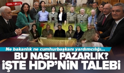 Anketler mi meydanlar mı? PKK neden 14 Mayıs'ı bekliyor? Planı ne? 