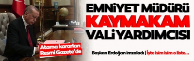 Atama kararları Resmi Gazete'de! 422 mülki idare amirin görev yeri değişti: Emniyet müdürleri, kaymakamlar, vali yardımcıları...