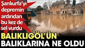Balıklıgöl'deki balıklar sel felaketi sırasında bakın ne yapmışlar! Herkes kaybolduklarını düşünüyordu ama... 