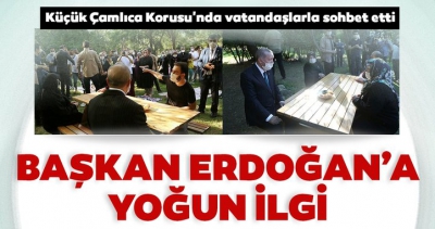 Başkan Erdoğan, Küçük Çamlıca Korusu'nda vatandaşlarla çay içti.