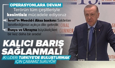 Başkan Erdoğan: Zelensky ve Putin'i Türkiye'de buluşturmak için gayretlerimizi sürdürüyoruz 