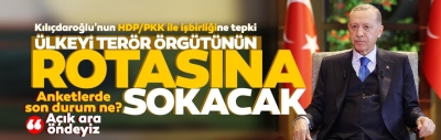 Başkan Erdoğan'dan anket sorusuna dikkat çeken cevap: Açık ara öndeyiz