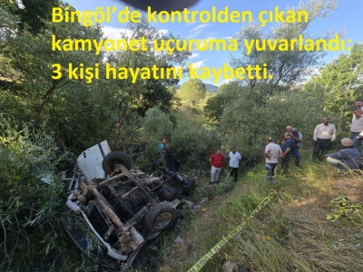 Bingöl'de kamyonet uçuruma yuvarlandı! 3 ölü 2 yaralı var