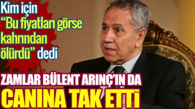 Bülent  Arınç: 