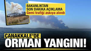 Çanakkale Boğazı'nda gemi trafiğini durduran yangın! Ulaştırma ve Altyapı Bakanlığı duyurdu | Eceabat'ta yangın 