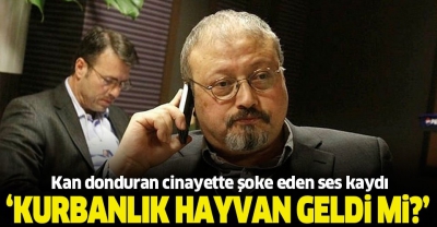Cemal Kaşıkçı cinayetinde şoke eden ses kaydı: Kurbanlık hayvan geldi mi?