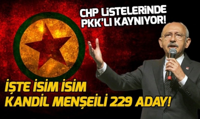 CHP-İP-Saadet listesinde 340 terör bağlantılı isim..