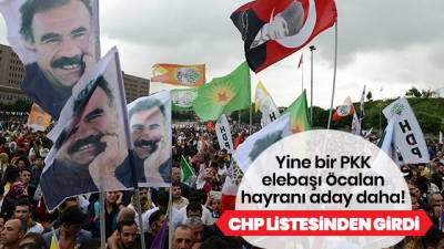CHP'de Karaağaç'tan sonra Öcalan sempatizanı bir aday daha