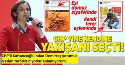 CHP’li Canan Kaftancıoğlu: Selahattin Demirtaş’a neden terörist denildiğini anlamıyorum.