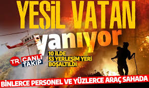 Ciğerlerimiz yanıyor! Yangınlarda son durum ne? Bursa'daki yangından acı haber: 1 itfaiye eri hayatını kaybetti