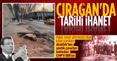Çırağan'daki ağaç katliamına tepki: İBB İstanbul'un marka değerini yok ediyor
