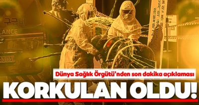Corona virüs (Covid-19) dünyayı sardı, Türkiye'de ise tek vakaya dahi rastlanmadı!....