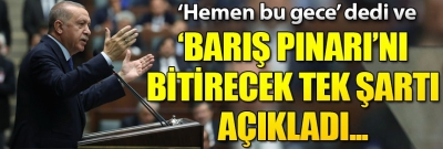 Cumhurbaşkanı Erdoğan, Barış Pınarı Harekatı'nı bitirecek tek şartı açıkladı..