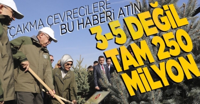 Cumhurbaşkanı Erdoğan Milli Ağaçlandırma Günü Fidan Dikim Töreni'nde konuştu: 81 ile 81 millet ormanı kuracağız