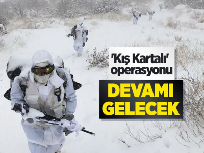 Cumhurbaşkanı Yardımcısı Oktay'dan 'Kış Kartalı' operasyonu mesajı: Devamı gelecek