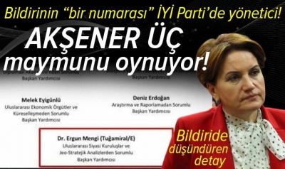 Cuntacı amirallerin bildirisinin bir numarası Ergun Mengi İyi Parti'de yönetici çıktı!