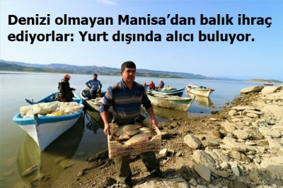 Denizi olmayan Manisa’dan balık ihraç ediyorlar: Yurt dışında alıcı buluyor.