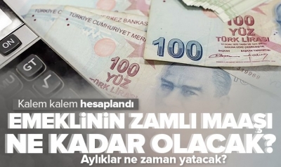 Emeklinin maaşı ne kadar olacak? İşte SSK, Bağ-Kur ve memur emeklisin yeni maaşı | Kalem kalem hesaplandı