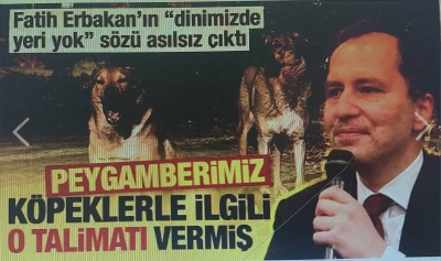 Fatih Erbakan'ın sözü asılsız çıktı! Peygamberimiz köpeklerle ilgili o talimatı vermiş 