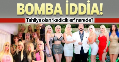 Flaş haber! Adnan Oktar'ın kedicikleri tahliye olduktan sonra nereye gitti?