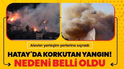 Hatay'da yangın: Yerleşim yerleri tehdit altında, bazı araçlar zarar gördü