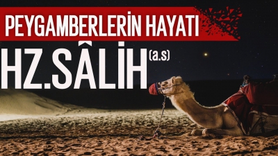 Hz. Salih (a.s.) Kimdir