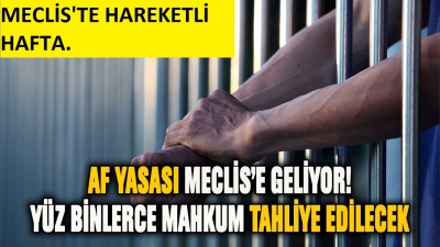 İnfaz düzenlemesiyle çifte bayram! Kimler tahliye olacak? Yaşa göre düzenleme...