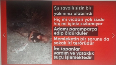 İstanbul'da korkunç olay! Başıboş köpekler bir genci parçalayarak öldürdü 