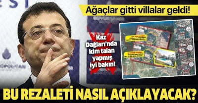 İşte CHP ve Kaz Dağları gerçeği! Ağaçları kesip yerlerine villa diktiler.