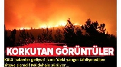 İzmir'deki orman yangını sebebiyle boşaltılan bir site alevlere teslim oldu