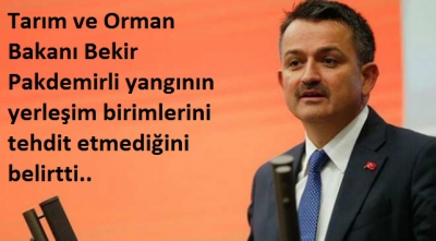 İzmir'deki yangında son durum!