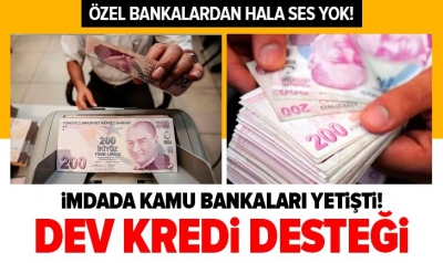 Kamu bankaları koronavirüsle ekonomik mücadelede üzerine düşeni yaparken özel bankalar kapılarını kapattı!.