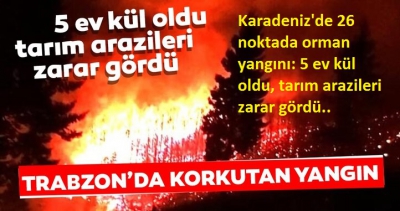 Karadeniz Bölgesi'nde 4 ilde, 26 farklı noktada yangın.