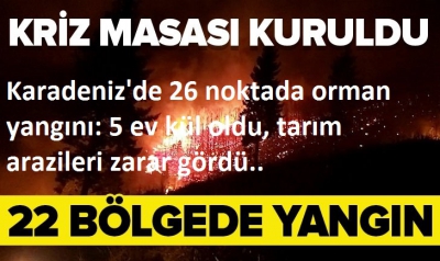 Karadeniz'de 26 noktada orman yangını: 5 ev kül oldu, tarım arazileri zarar gördü..