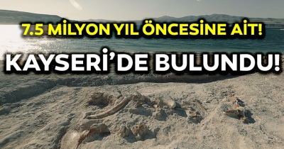 Kayseri'de 7 buçuk milyon yıllık 'Choerolophodon' fosili bulundu.