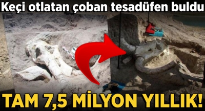 Kayseri'de 7,5 milyon yıllık dev fosil bulundu