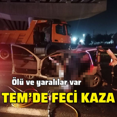 ​​​​​​​Kocaeli'nin Gebze ilçesinde 3 aracın karıştığı zincirleme trafik kazasında 3 kişi öldü, 4 kişi de yaralandı.