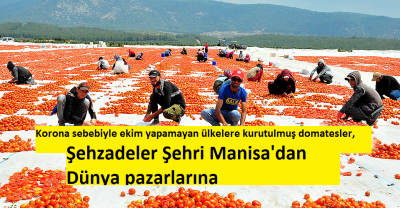 Korona sebebiyle ekim yapamayan ülkelere kurutulmuş domatesler, Şehzadeler Şehri Manisa'dan Dünya pazarlarına..