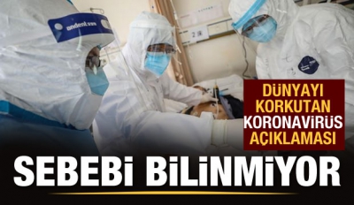 Koronavirüs salgınında SON DAKİKA HABERİ! Uzmanlar şaşkınlık içerisinde.